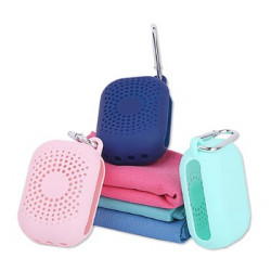 ALPIN Πετσέτα Microfiber 90x32